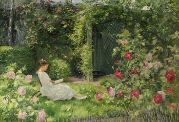 In the Rose Garden