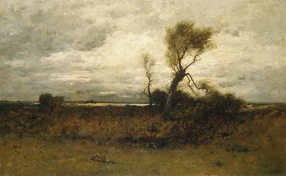 Near the Coast