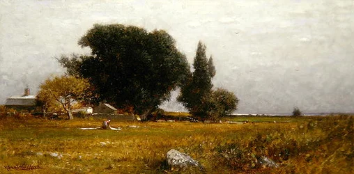 Trees and Meadow