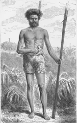 Native of Australia, c1885