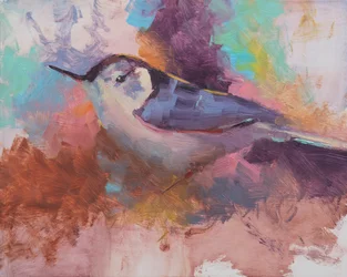 White Breasted Nuthatch