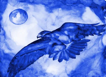 Blue Hawk Moon Flight