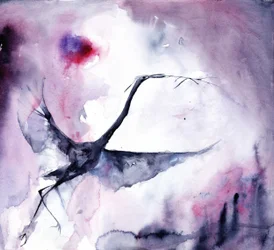 Dreamy Bird Flight