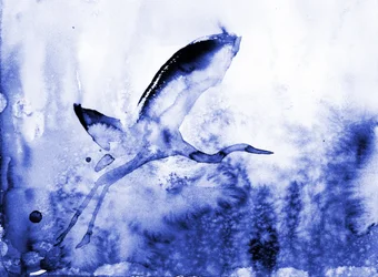 Graceful Blue Heron