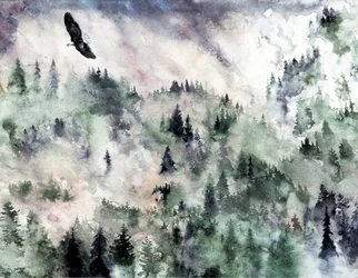 Misty Mountain Eagle