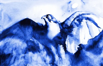 Soaring Blue Falcon