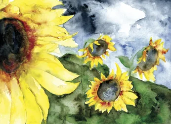 Sunflowers Under Stormy Sky