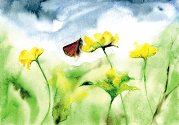 Vibrant Meadow Butterfly