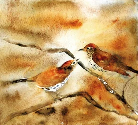 Birds On Branch