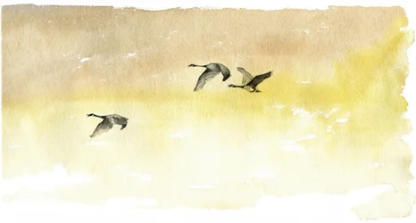 Watercolor Geese Flight