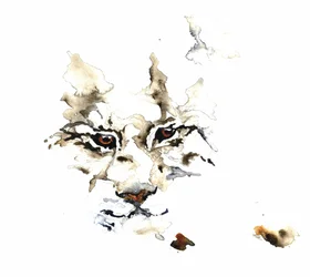 Wild Lynx Watercolor