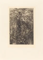 Branches