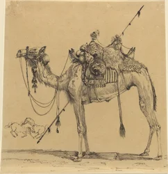 The Camel