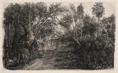 The Stream