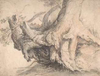 Study of a Tree, ca. 1606-7