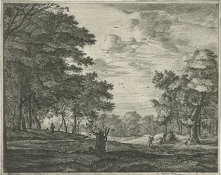 Walker in the Hague Forest