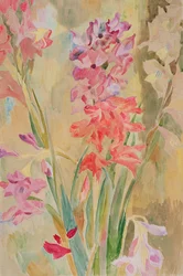 Gladioli
