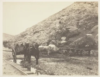 Cattle and Carts, Leaving Balaklava