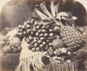 Still Life with Fruit