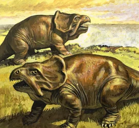 Protoceratops, Illustration from In the Days of the Dinosaurs, Discovery in the Desert