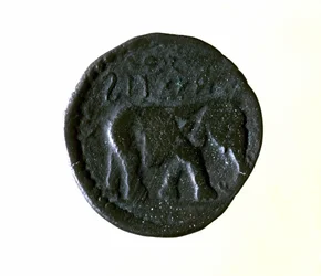 Carthage coin representing an elephant. 3rd or 2nd century BC.