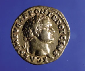 Coin with the effigy of Roman Emperor Titus (40 - 81) (Collection of the Medagliere of Milan)