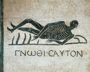 Gnothi Seauton (Know Thyself)