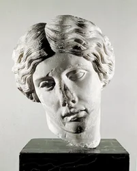 Head of an amazon (marble sculpture, 2nd century AD)