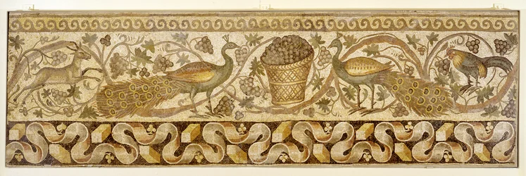 Mosaic of a Vine Scroll Border with Peacocks, Antioch, 526-540