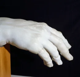 Polyphemus