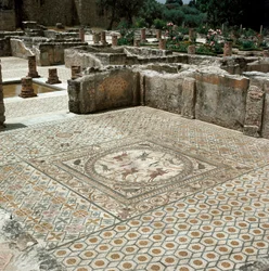 Remains of the Mosaics of the Roman City