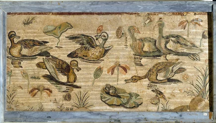 Roman art: duck, frog and water lilies in a pond. Mosaic from the villa of fauna in Pompei. Museo Archeologico Nazionale, Naples