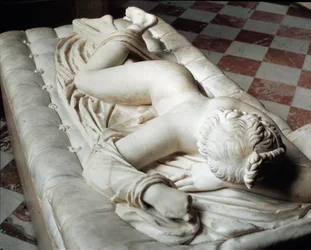 Sleeping Hermaphrodite