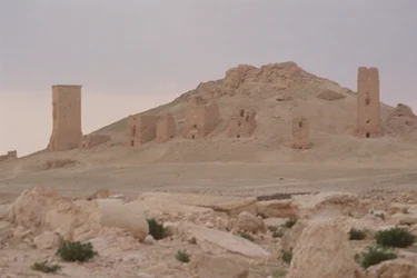 Tower Tombs Including the Tower Tomb of Iamliku Built in 83 AD, the Valley of the Tombs