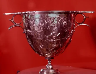 Cantharic with leaves of plane trees