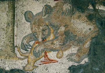 Unknown Image