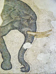 Unknown Image