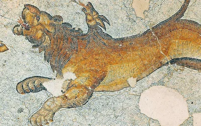 Unknown Image