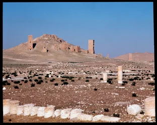 View of the tower tombs of Iamblichus and Elahbel