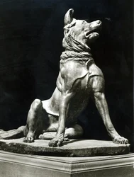 Bull Mastiff Dog