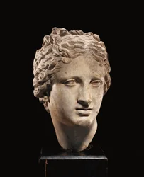 Head of Venus
