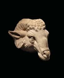 Head of a Ram