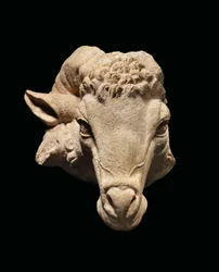 Head of a Ram, c.1st century BC - 1st century AD
