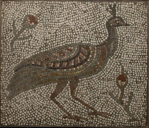 Mosaic with a Peacock and Flowers, 3rd-4th Century