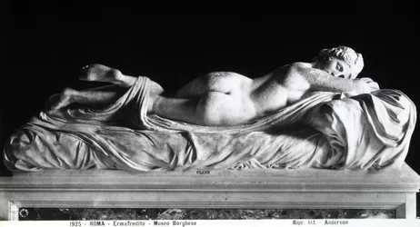 Sleeping Hermaphrodite