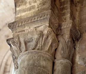 Elephants (carved capital of the nave)