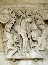 Unknown Image