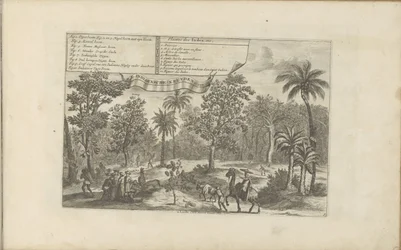 Trees and Spices
