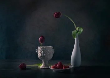 Moody Tulips And Strawberries