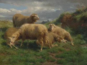 A Landscape with Sheep